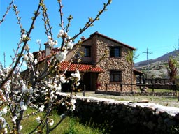 La Cañada tras las flores