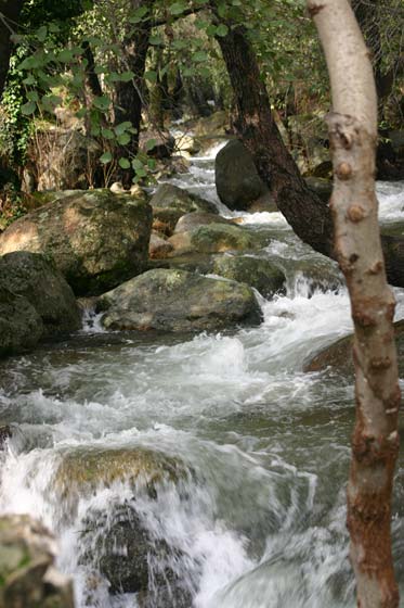 La Garganta de las nogaleas