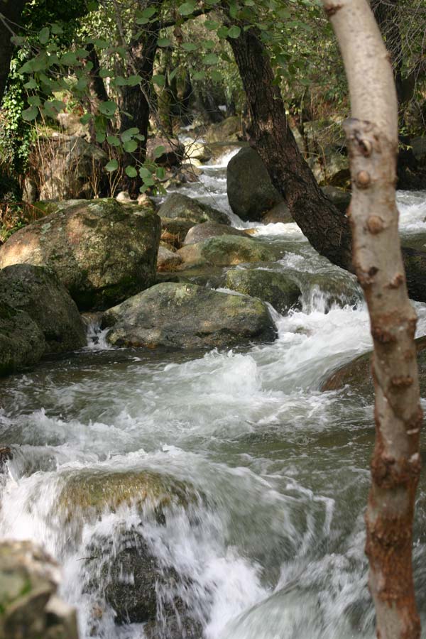 La Garganta de las Nogaleas a su llegada al río Jerte