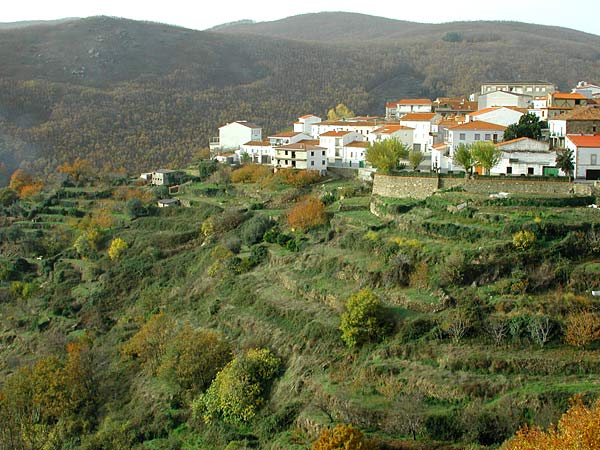 Valle del Jerte, vista de Barrado