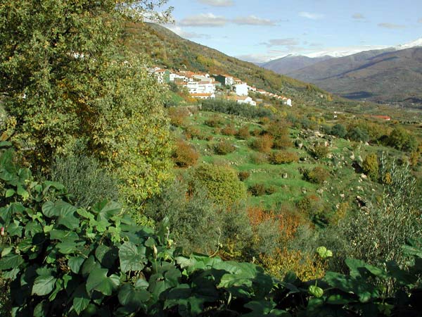 Valle del Jerte, Rebollar