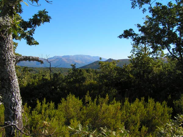 Valle del Jerte, en la sierra de Tormantos