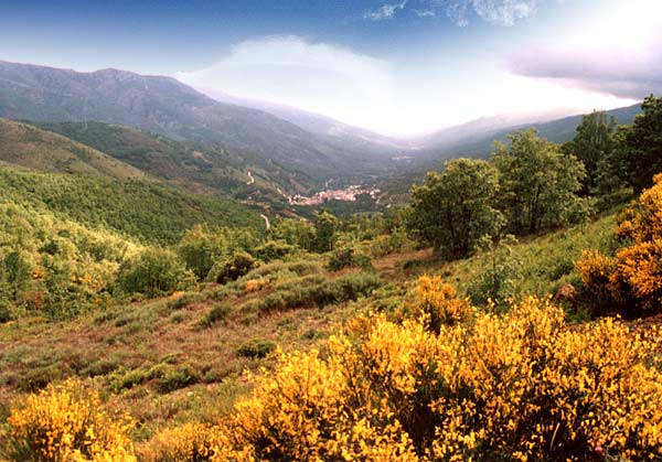 Vista panorámica del Valle del Jerte