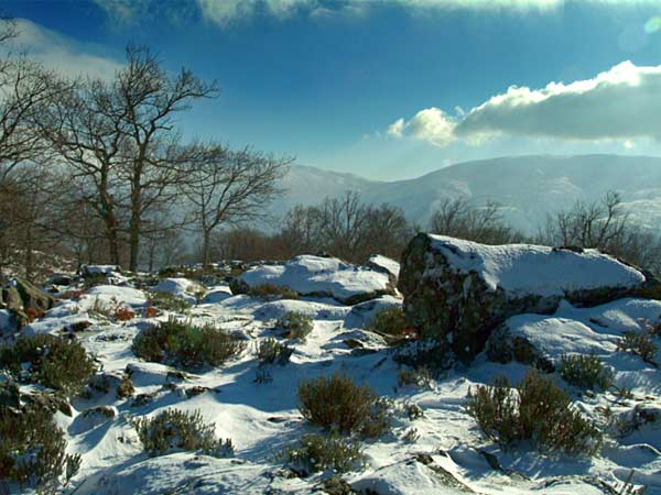 El valle del jerte nevado