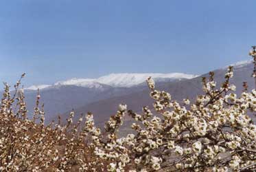 El Valle durante la floración