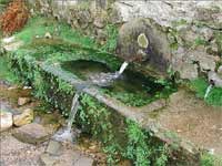 Fuente de los Helechares. vacaciones en el Valle del Jerte.