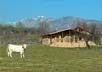 Las Cabañas de la Vera, Apartamentos rurales en la Vera, Cáceres, Extremadura.