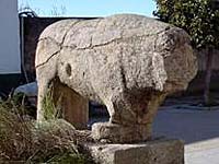 Toro celta, turismo y casas rurales en el Valle del Ambroz, Cáceres, Extremadura.