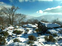La Nieve en el Valle del Jerte