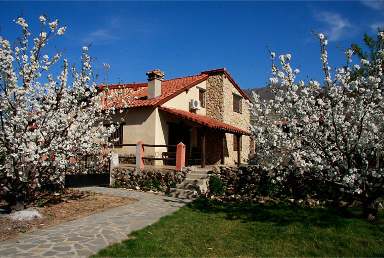 Valle del Jerte, cerezo en flor