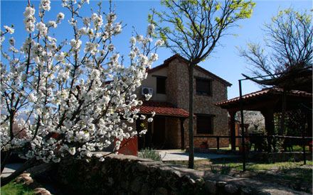 La Cañada del Valle del Jerte, cerezo en flor