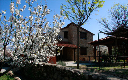 La Caada del Valle del Jerte, cerezo en flor